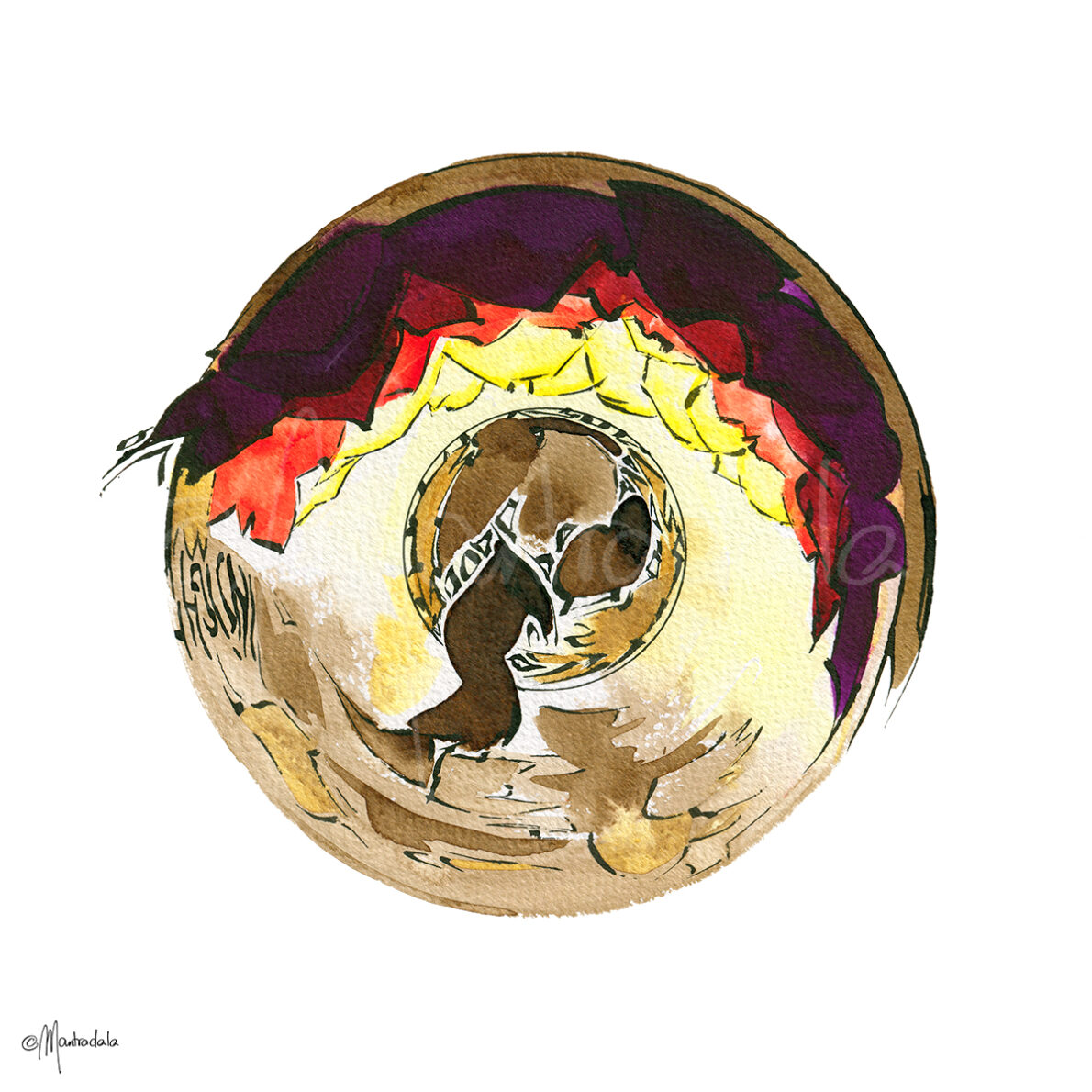 Insight | 829