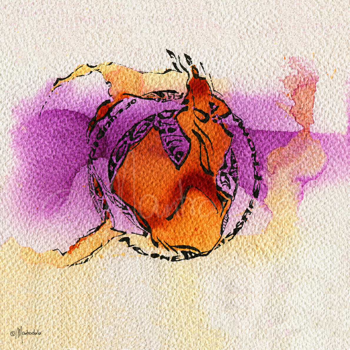Flare of lucidity 855 for sale