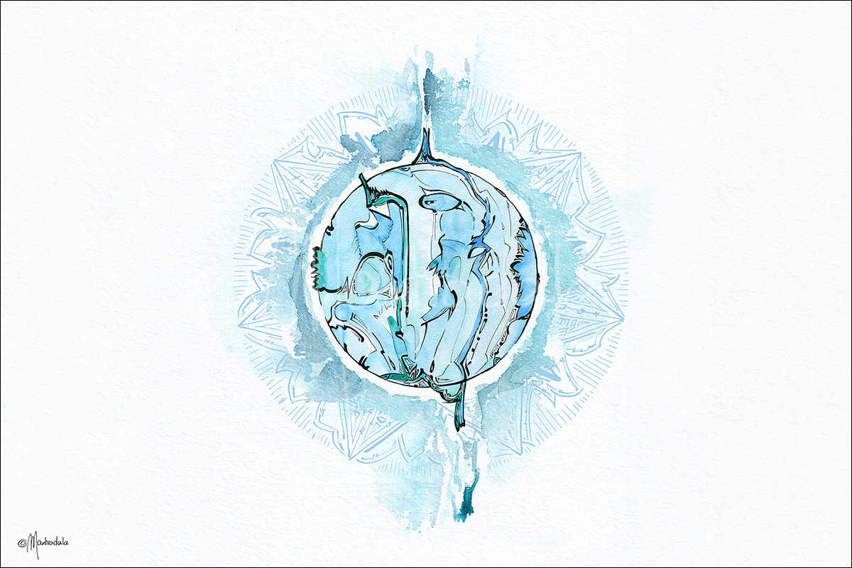 Fluidity | 889